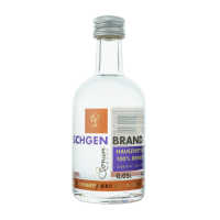 Hauszwetschge 050 ml 40 % Vol.